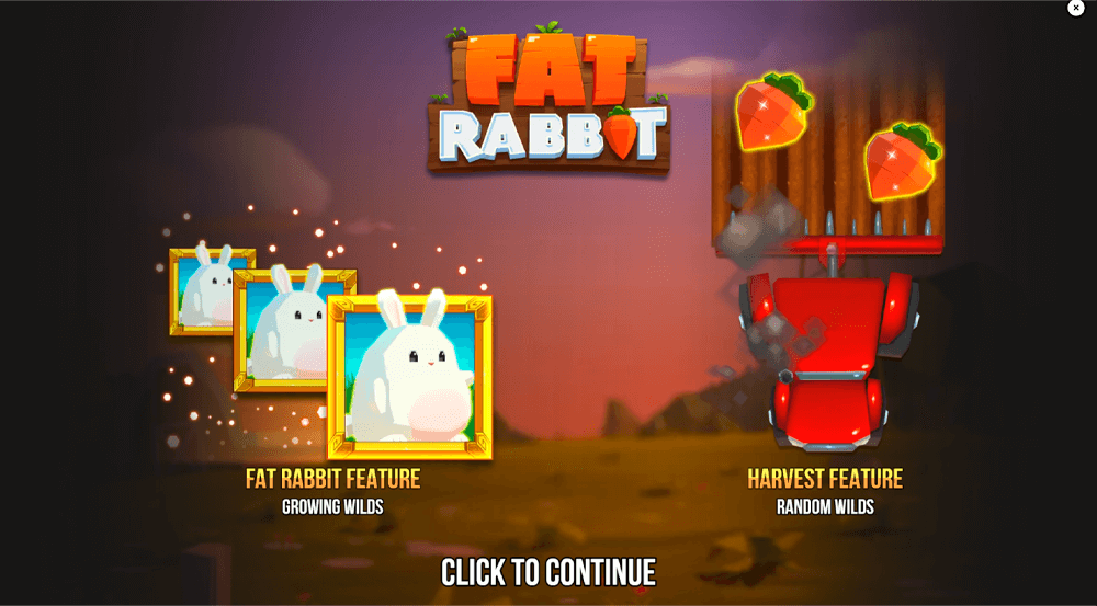 Fat Rabbit Key Details